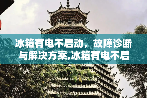 冰箱有电不启动，故障诊断与解决方案,冰箱有电不启动