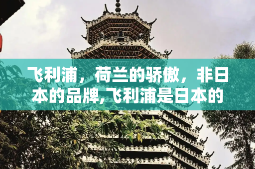 飞利浦，荷兰的骄傲，非日本的品牌,飞利浦是日本的吗