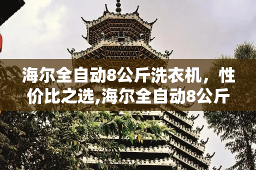 海尔全自动8公斤洗衣机，性价比之选,海尔全自动8公斤洗衣机价格