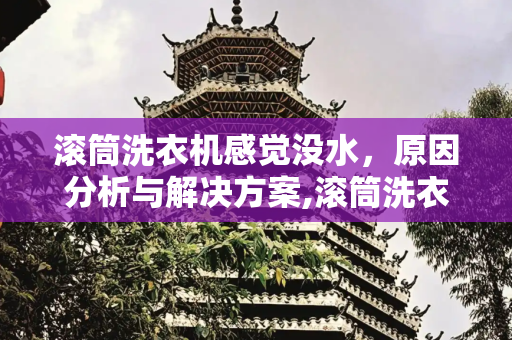 滚筒洗衣机感觉没水，原因分析与解决方案,滚筒洗衣机感觉没水