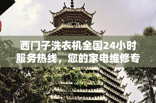 西门子洗衣机全国24小时服务热线，您的家电维修专家,西门子洗衣机全国24小时服务热线