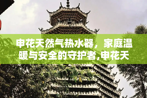 申花天然气热水器，家庭温暖与安全的守护者,申花天然气热水器
