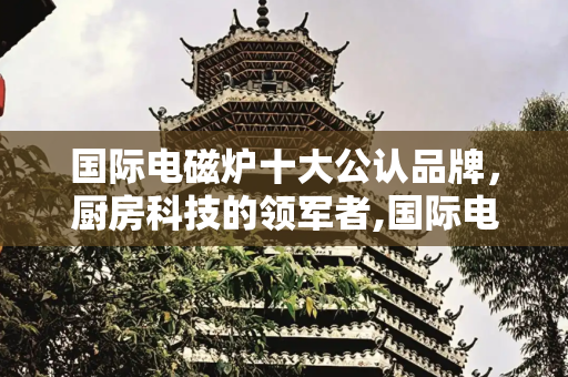 国际电磁炉十大公认品牌，厨房科技的领军者,国际电磁炉十大公认品牌