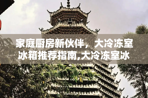 家庭厨房新伙伴，大冷冻室冰箱推荐指南,大冷冻室冰箱推荐