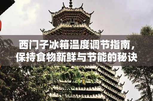 西门子冰箱温度调节指南，保持食物新鲜与节能的秘诀,西门子冰箱怎么调节温度