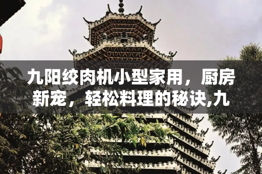 九阳绞肉机小型家用，厨房新宠，轻松料理的秘诀,九阳绞肉机小型家用