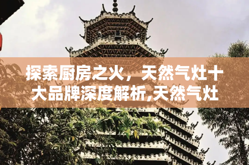 探索厨房之火，天然气灶十大品牌深度解析,天然气灶十大品牌