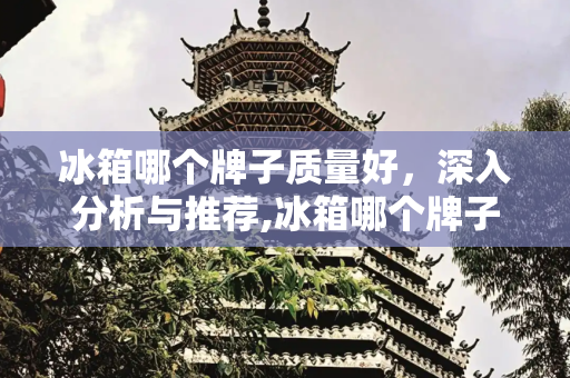 冰箱哪个牌子质量好，深入分析与推荐,冰箱哪个牌子质量好