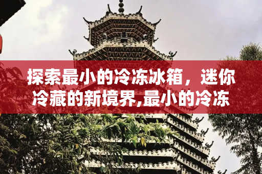 探索最小的冷冻冰箱，迷你冷藏的新境界,最小的冷冻冰箱