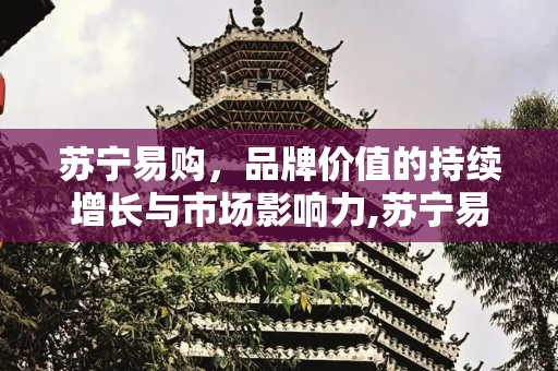 苏宁易购，品牌价值的持续增长与市场影响力,苏宁易购品牌价值