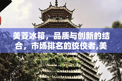 美菱冰箱，品质与创新的结合，市场排名的佼佼者,美菱冰箱排名第几