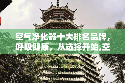 空气净化器十大排名品牌，呼吸健康，从选择开始,空气净化器十大排名 品牌