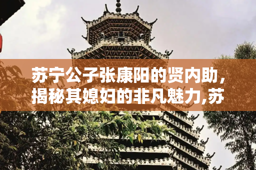 苏宁公子张康阳的贤内助，揭秘其媳妇的非凡魅力,苏宁公子张康阳媳妇
