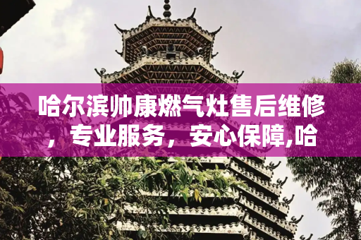 哈尔滨帅康燃气灶售后维修，专业服务，安心保障,哈尔滨帅康燃气灶售后维修