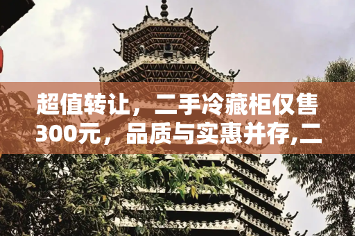 超值转让，二手冷藏柜仅售300元，品质与实惠并存,二手冷藏柜转让300元