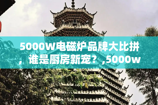 5000W电磁炉品牌大比拼，谁是厨房新宠？,5000w电磁炉哪个牌子的好