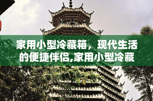 家用小型冷藏箱，现代生活的便捷伴侣,家用小型冷藏箱