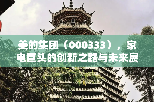 美的集团（000333），家电巨头的创新之路与未来展望,美的集团000333
