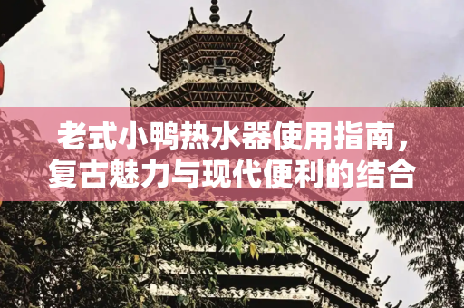 老式小鸭热水器使用指南，复古魅力与现代便利的结合,老式小鸭热水器怎么用