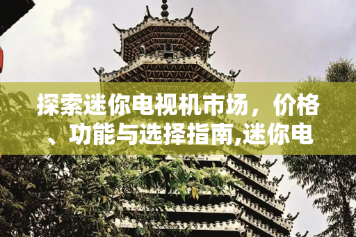 探索迷你电视机市场，价格、功能与选择指南,迷你电视机多少钱一台