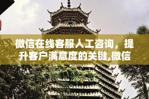 微信在线客服人工咨询，提升客户满意度的关键,微信在线客服人工咨询