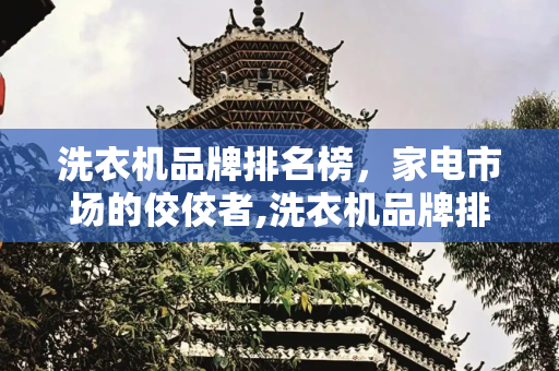 洗衣机品牌排名榜，家电市场的佼佼者,洗衣机品牌排名榜