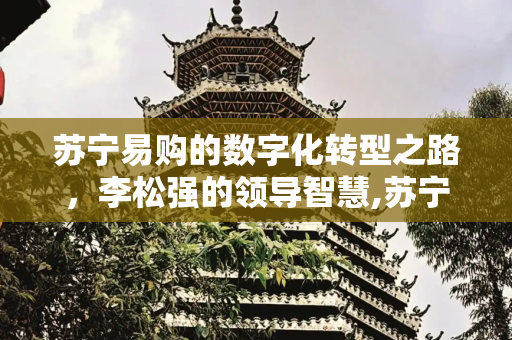 苏宁易购的数字化转型之路，李松强的领导智慧,苏宁易购李松强