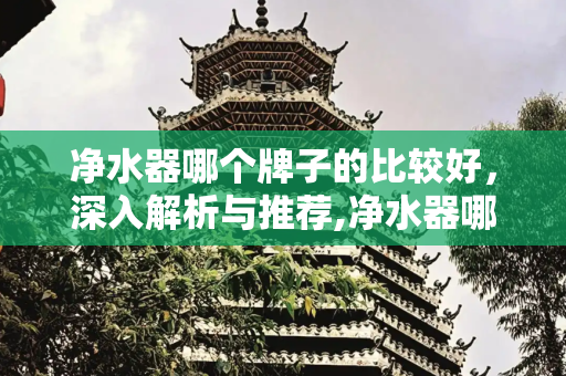净水器哪个牌子的比较好，深入解析与推荐,净水器哪个牌子的比较好