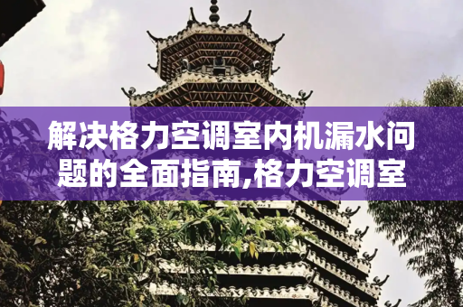 解决格力空调室内机漏水问题的全面指南,格力空调室内机漏水怎么办