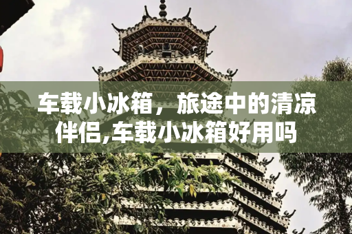 车载小冰箱，旅途中的清凉伴侣,车载小冰箱好用吗